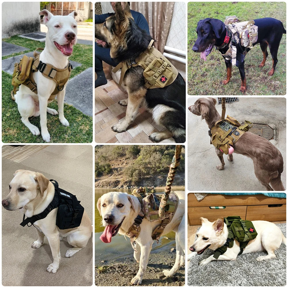 Large Dog Harness Collar Leash Set Military Dog Harnesses - The Great Earth Store