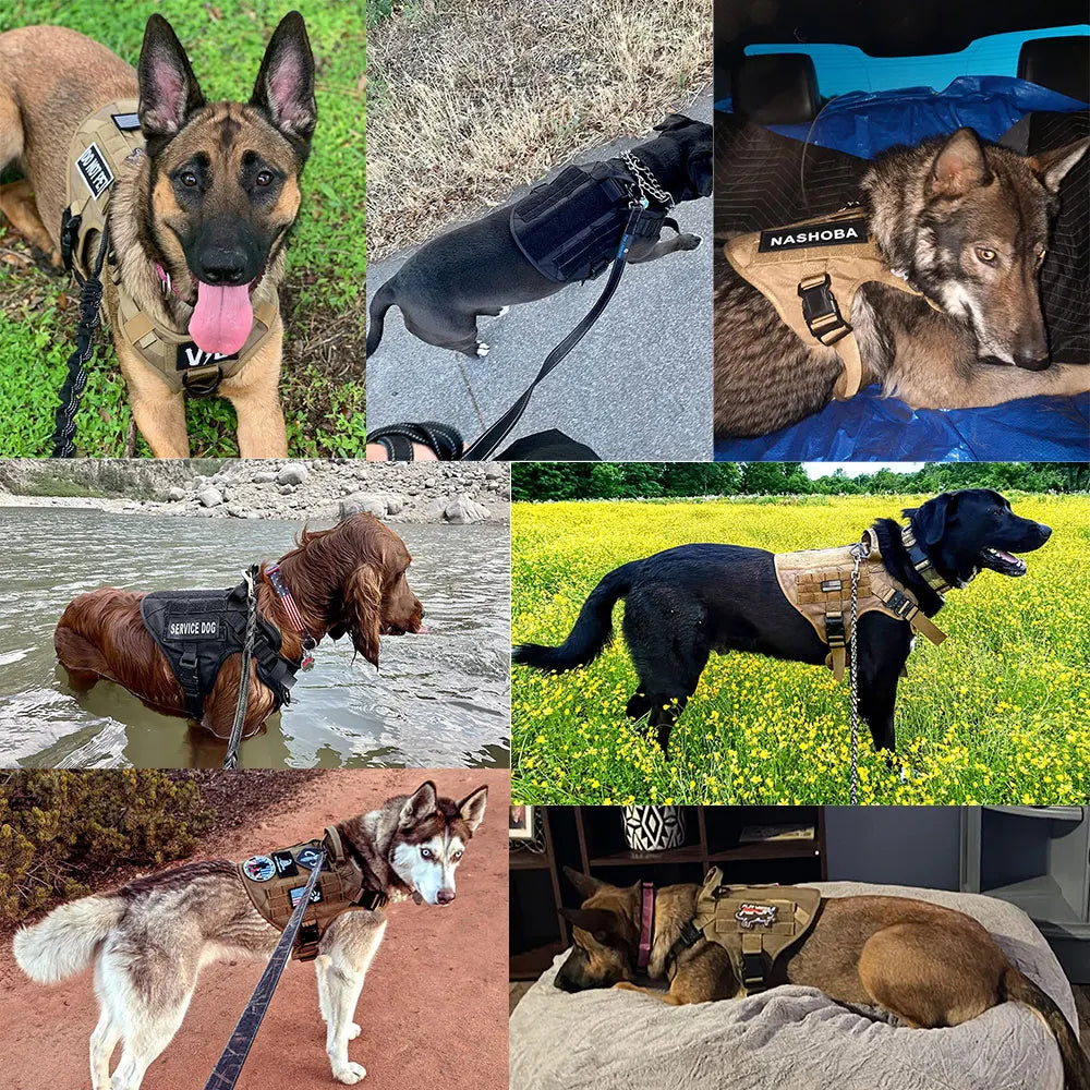 Military Large Dog Harness Collar Leash Bags Patches Set - The Great Earth Store