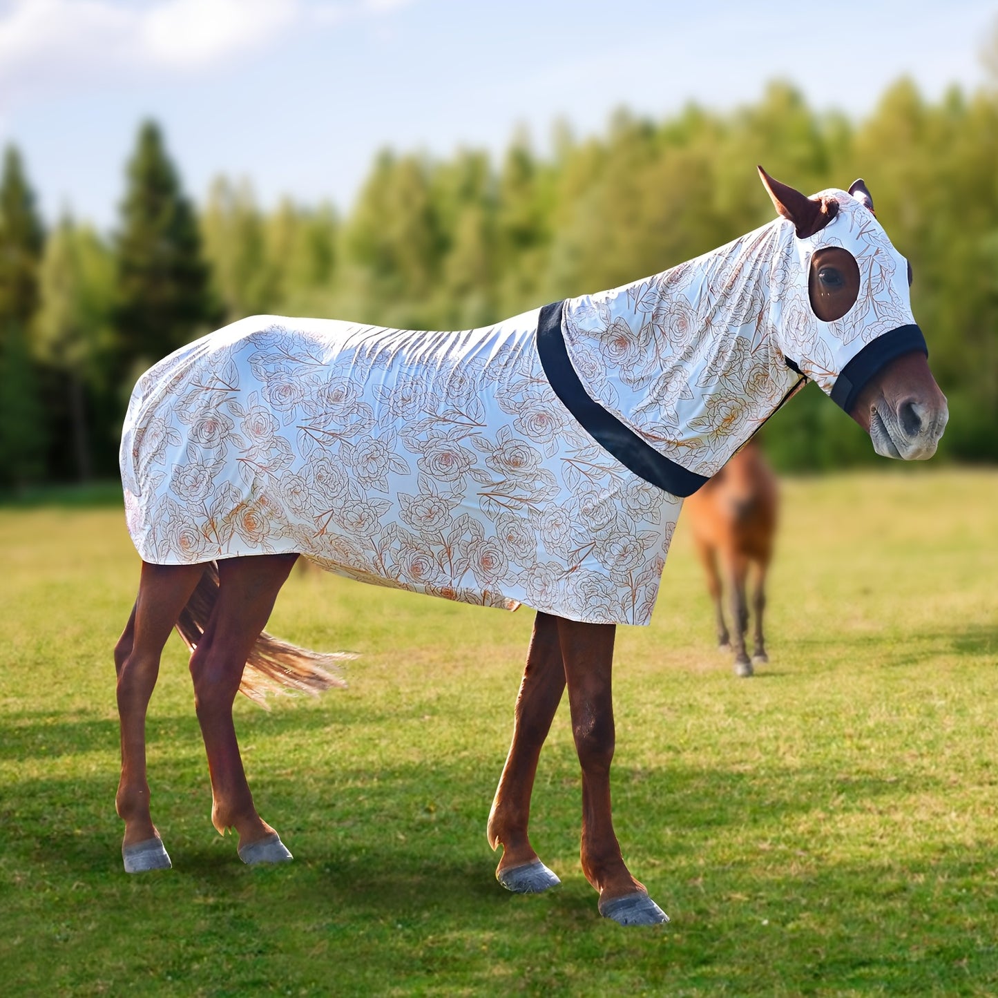 1pc EquiStar Horse Blanket with Neck Cover for All Breeds