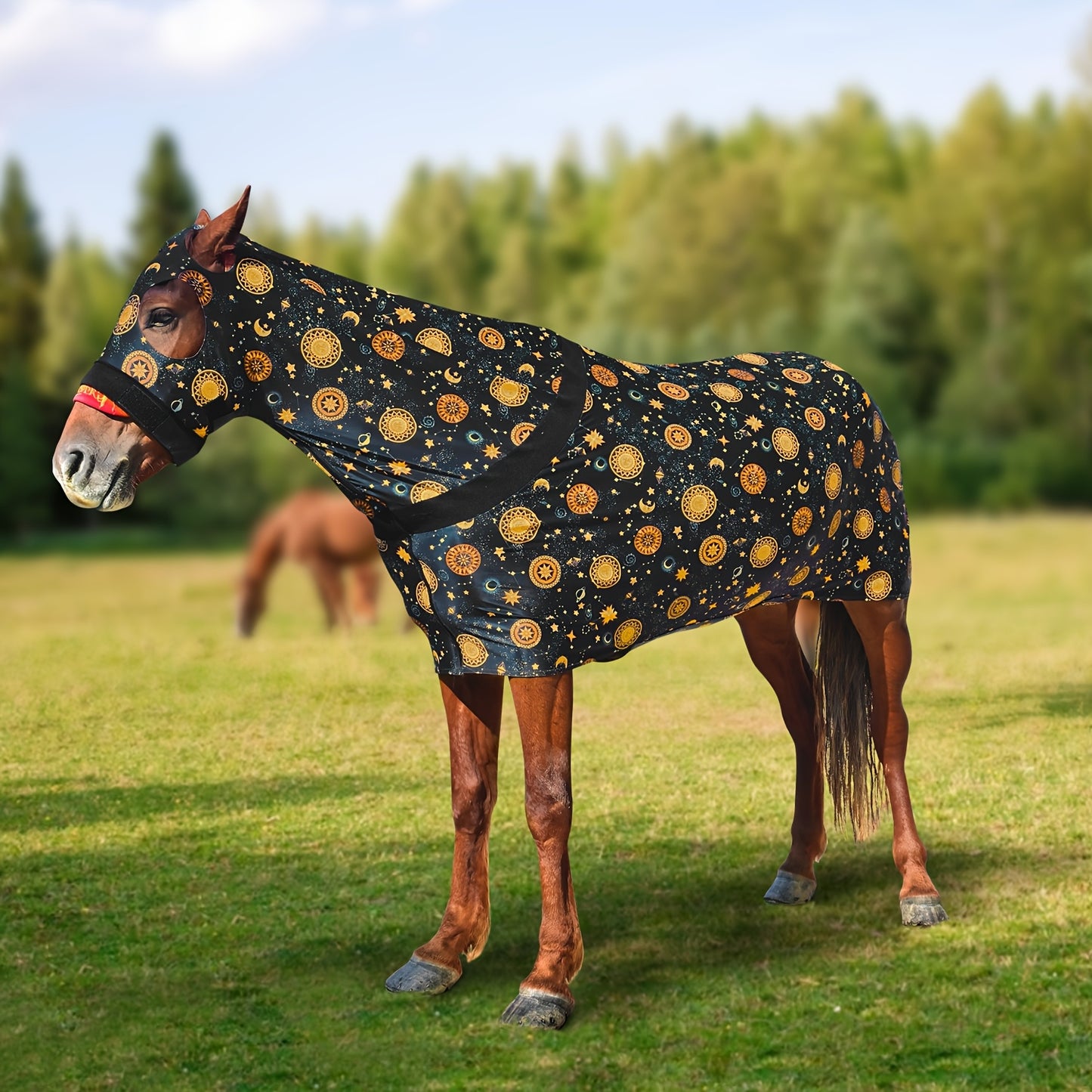 1pc EquiStar Horse Blanket with Neck Cover for All Breeds