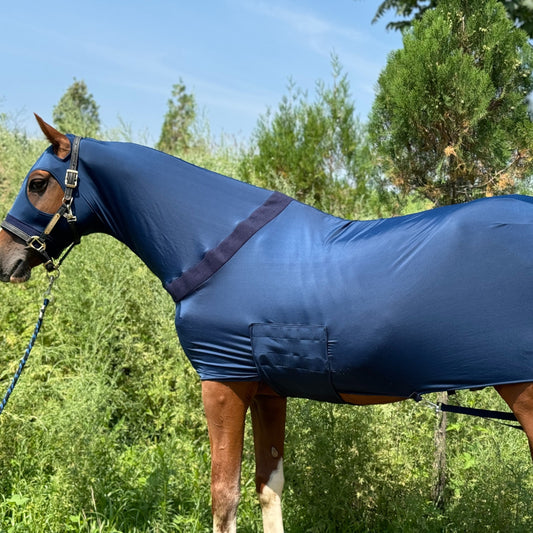 Extra-Large Nylon Horse Blanket with Integrated Neck Cover