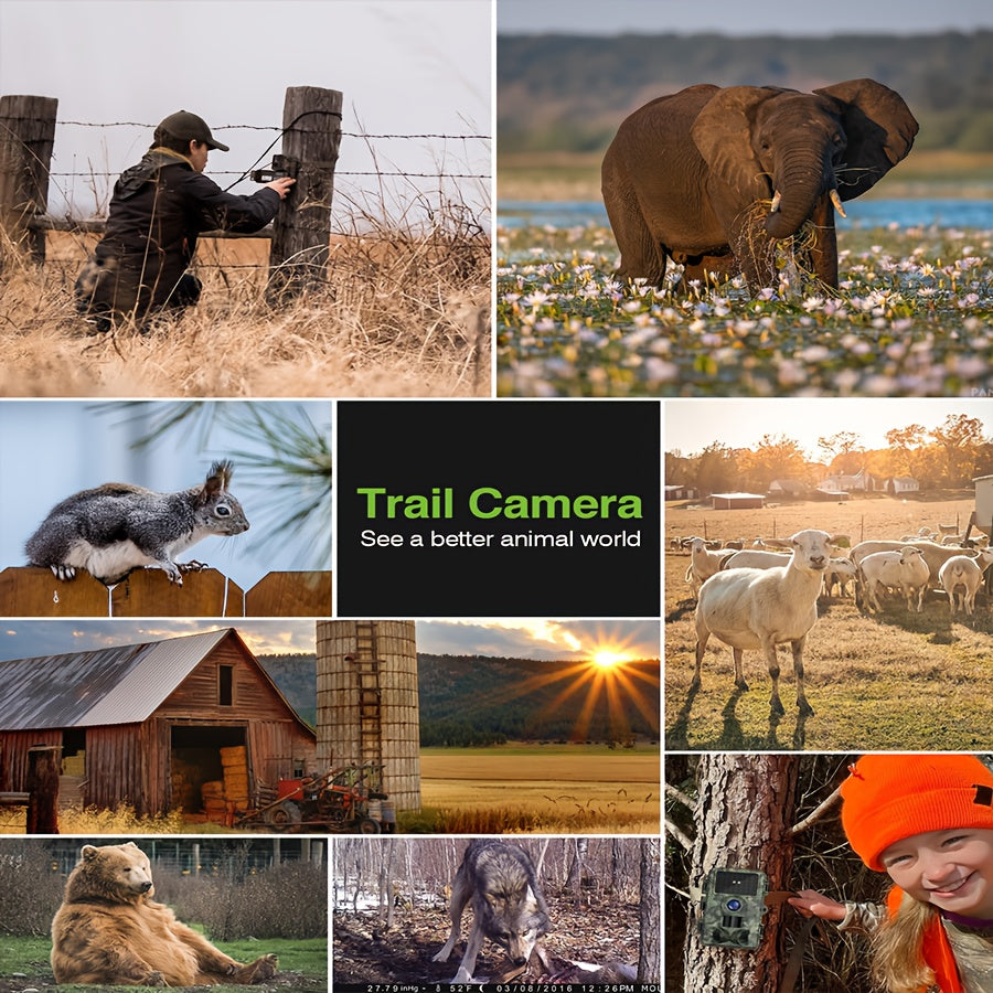Trail Camera - 4K 48MP Game Camera for Wildlife Monitoring - The Great Earth Store
