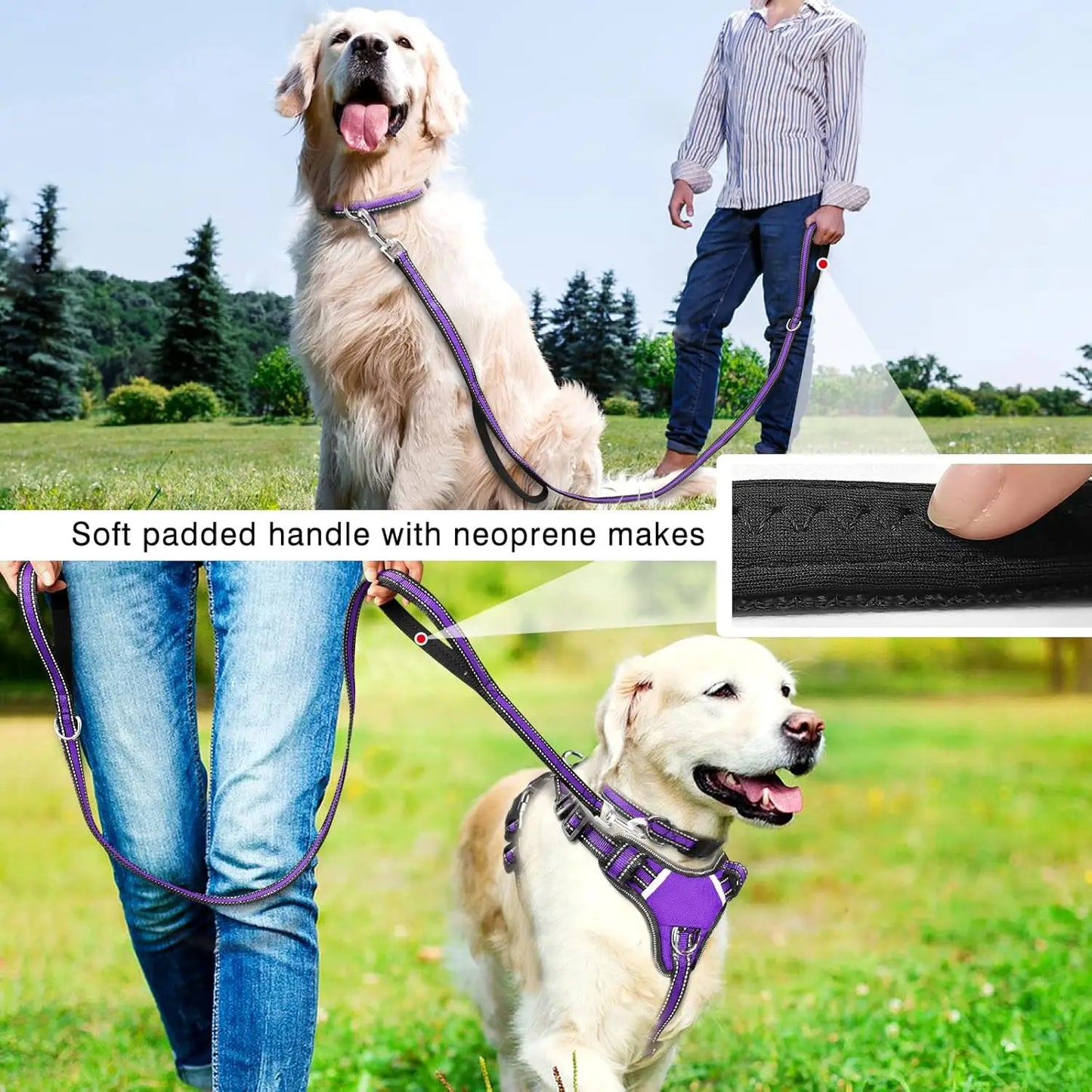 Pet Harness Collar and Leash Set All-in-one Reflective Dog Harness No Pull for Small Medium Puppies